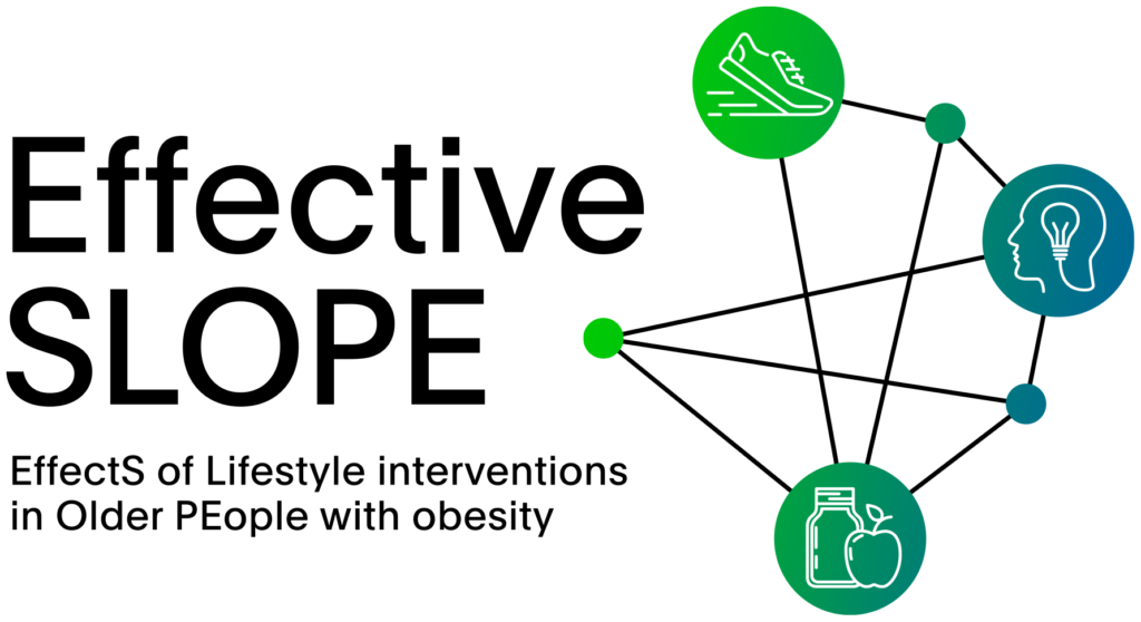 Effective SLOPE Netzwerkmetaanalyse von Adipositasinterventionen
